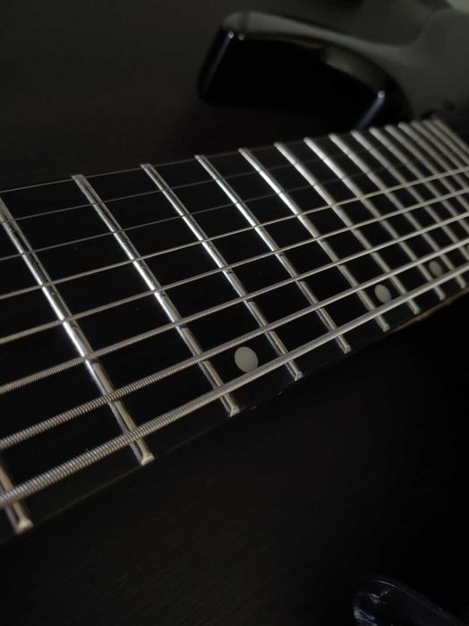 Fretboard cleaning & fret polishing