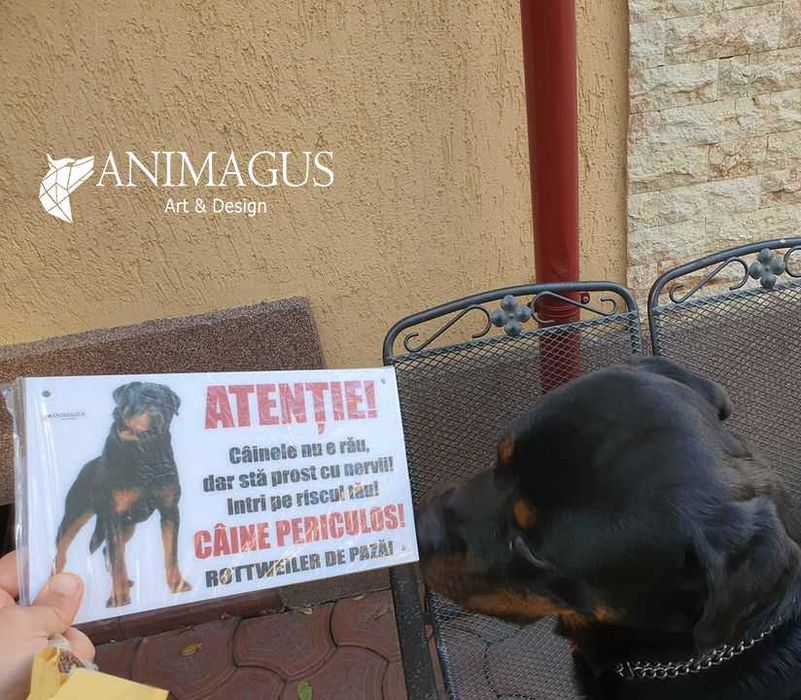 Placa Avertizare Caine Rau Periculos Rottweiler