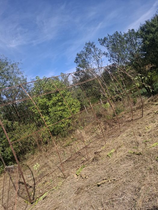 Vând solar de 6 metri lungime și 4 lățime