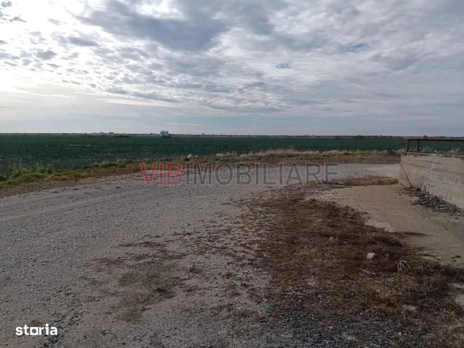 Ferma Agricolă 1.350 HA – Grad de Comasare 96–97%, Județul Arad