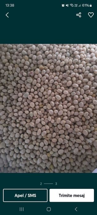 Vând soia furajeră