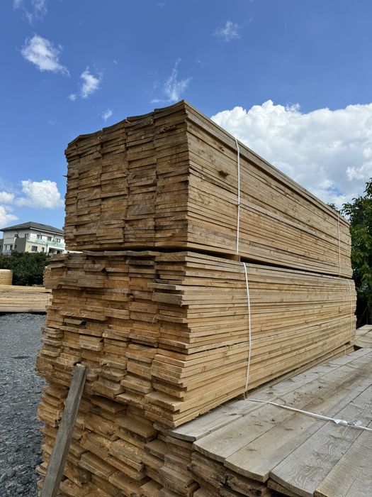 Cherestea Rasinoasa Molid