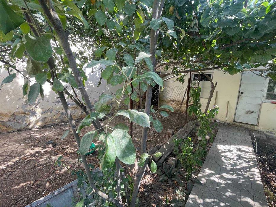 Продается уютный дом в махалле Лохутий (7.6 соток)