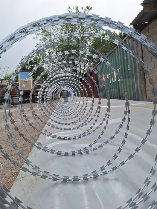 Егоза СББ, колючая проволока