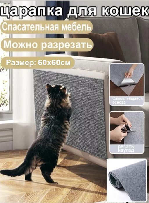 Когтеточка.