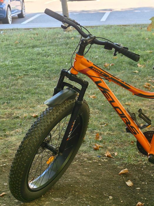 Fat bike, Velors