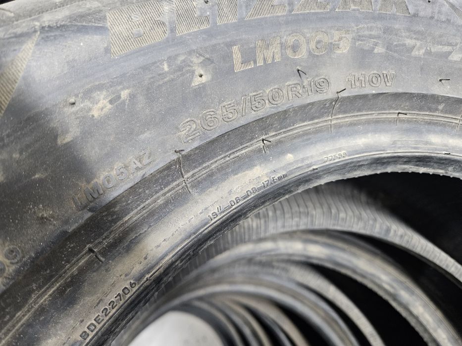 265 50 на 19 шины