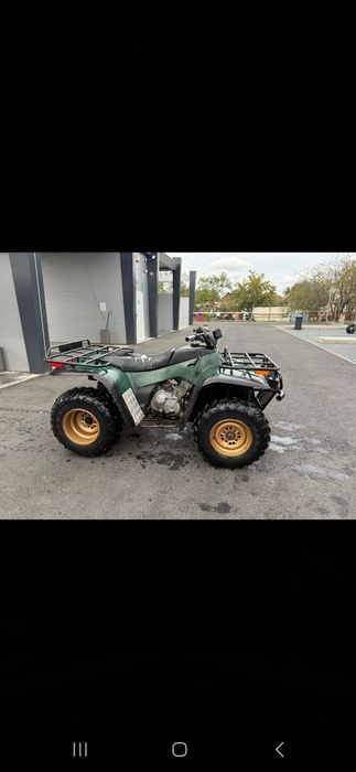 Vand Artic Cat BearCat 454