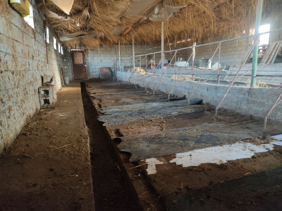 Дом продам дача дружба