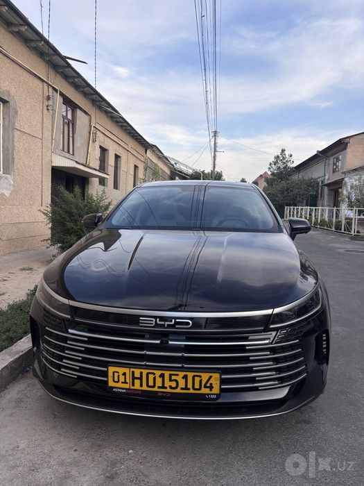 Byd chazor 2026 55 tali