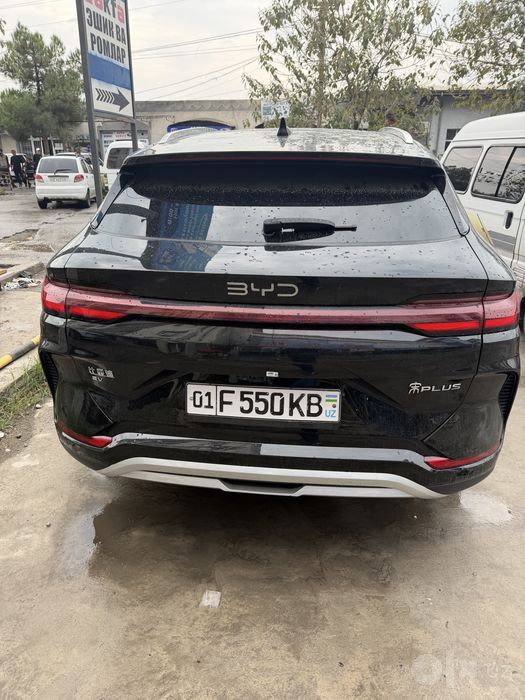 Byd champion restyle