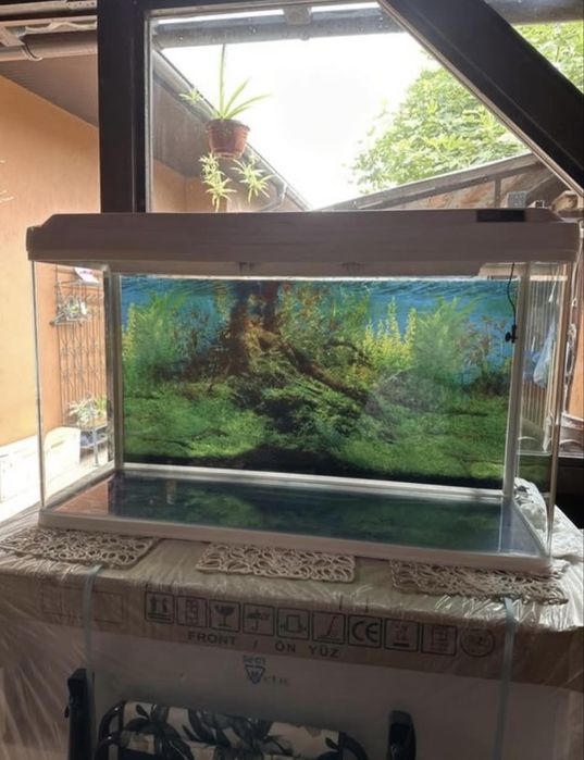 Acvariu 200 litri curbat