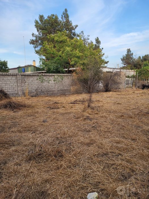 Dacha Yangiyo’l срочно продается