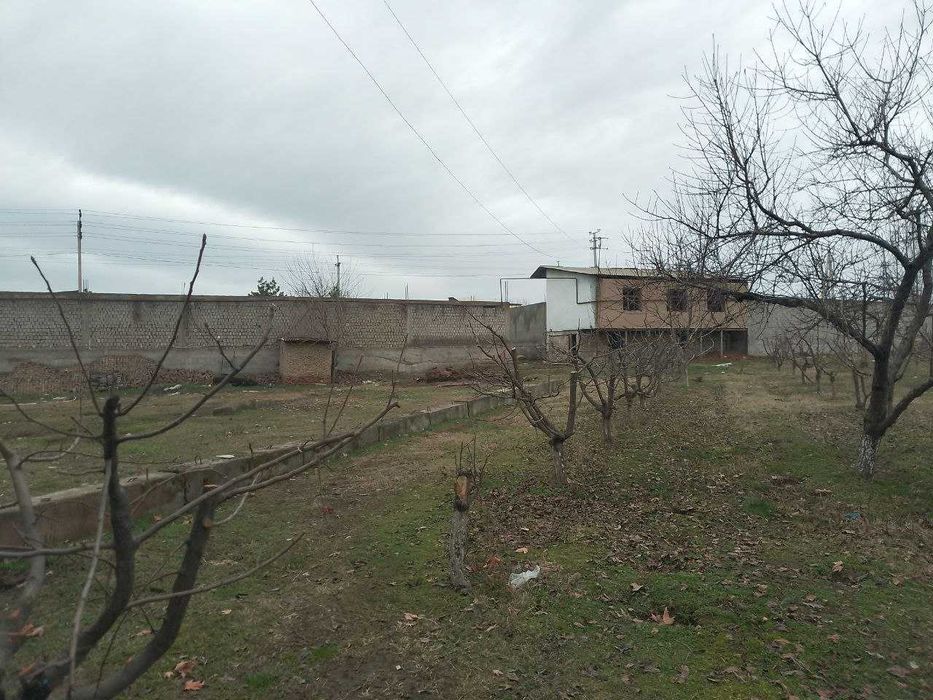 Ер сотилади 93 сотих, Зангиота, Иппадромга 8 км, йул буйида