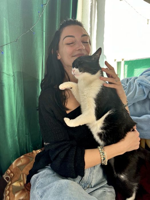 pet sitter (pisici, caini, reptile, rozatoare, pesti), plimbat caini