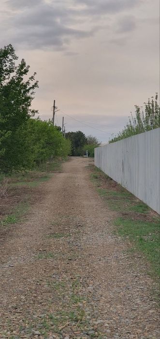 Peshku tumanida er uchaskasi sotiladi