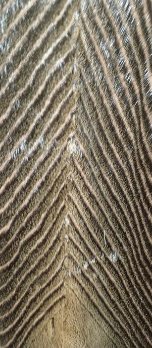 Vând blană naturală autentică, mărimea L Xl