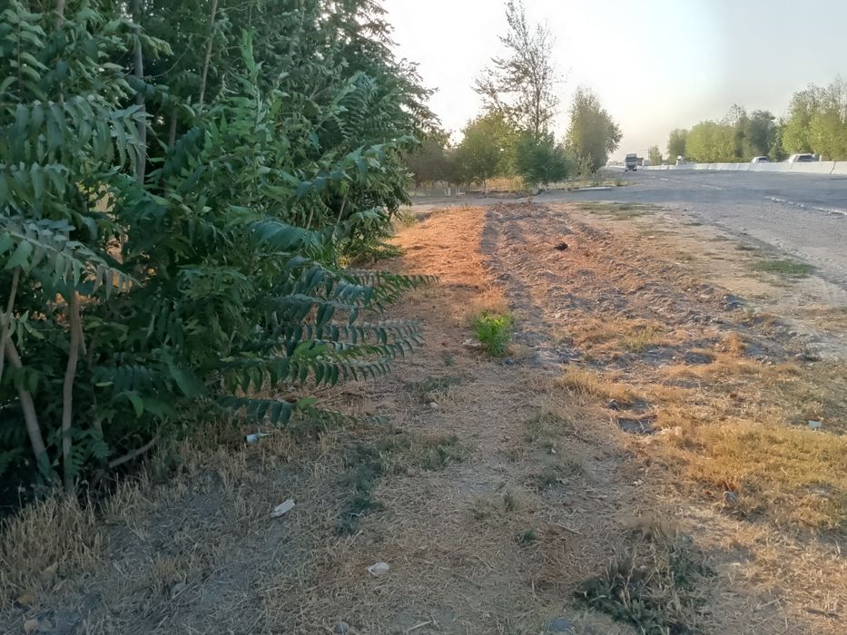 Уй - жой сотилади