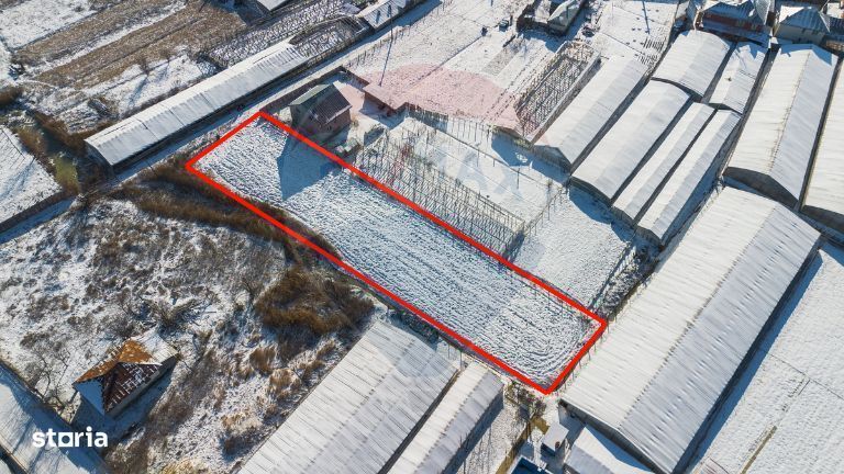 Teren Intravilan 1,430 mp Târgu Frumos Comision 0%