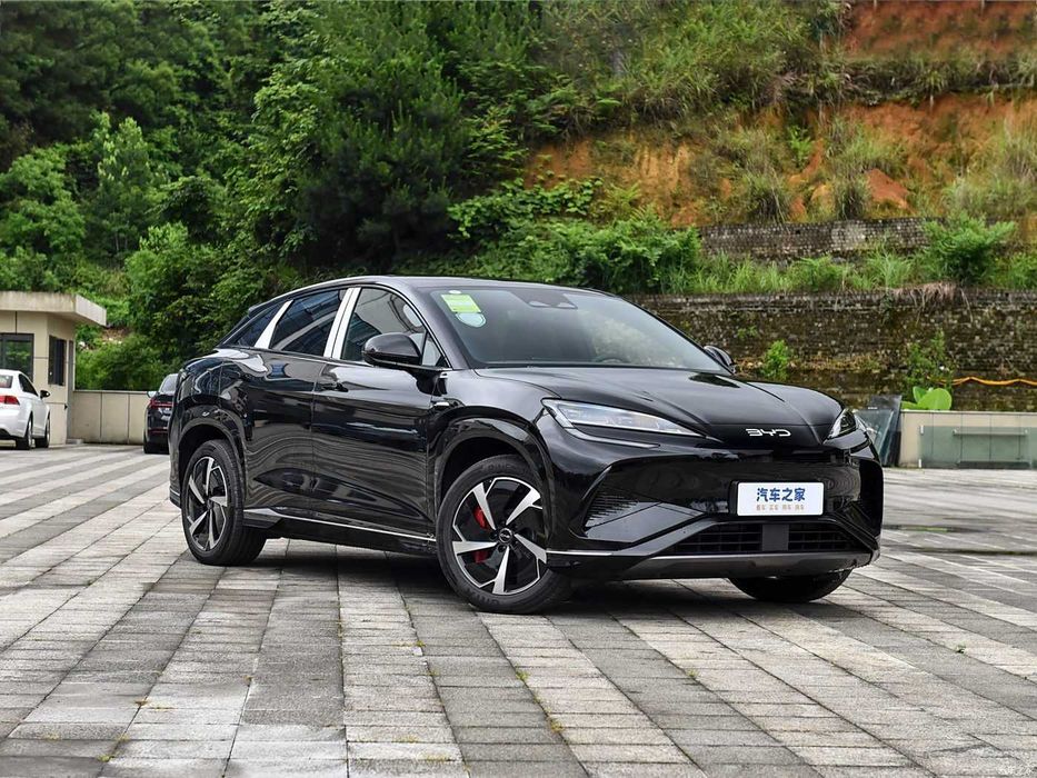 Byd sealine 6 pod zakaz