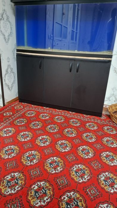 Akvarium zavod pechka fiktr