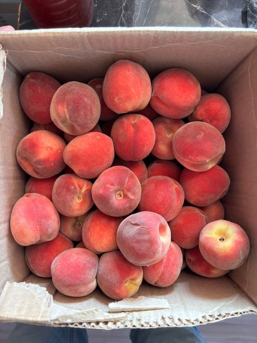Продам дом в поселке Конырат