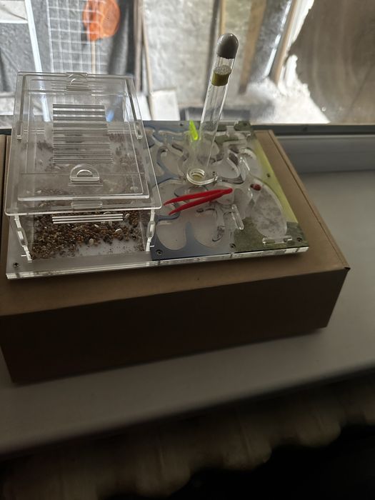 Продам ферму для муравьев