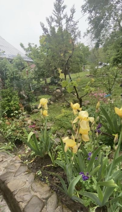 Vand casă la 30km de Buzau, Valea Parului Beceni