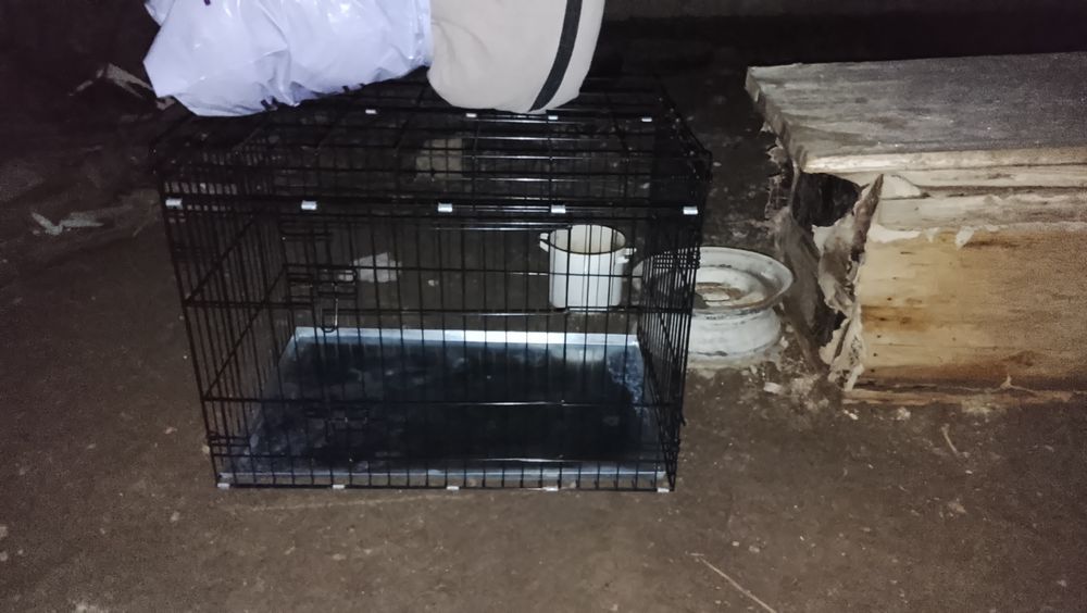 Даю клетку в аренду