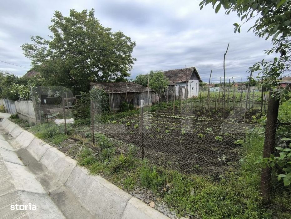 Casa de vanzare Noslac