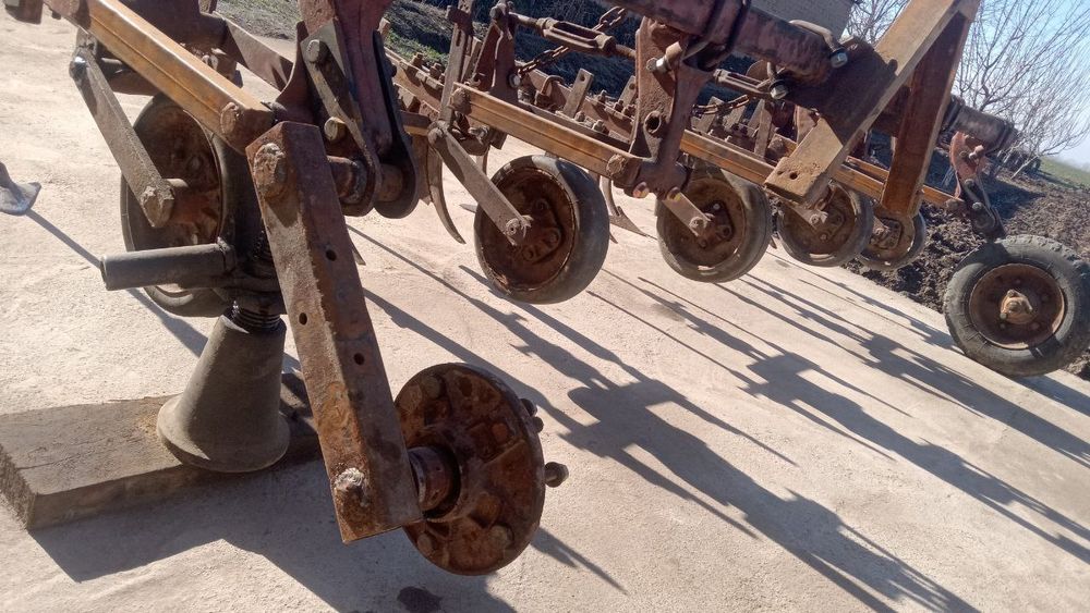 Рассиский култиватсия