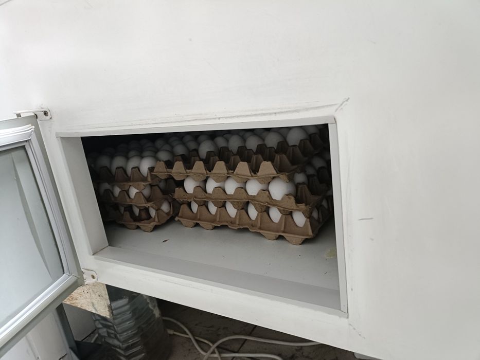 Холодильная витрина