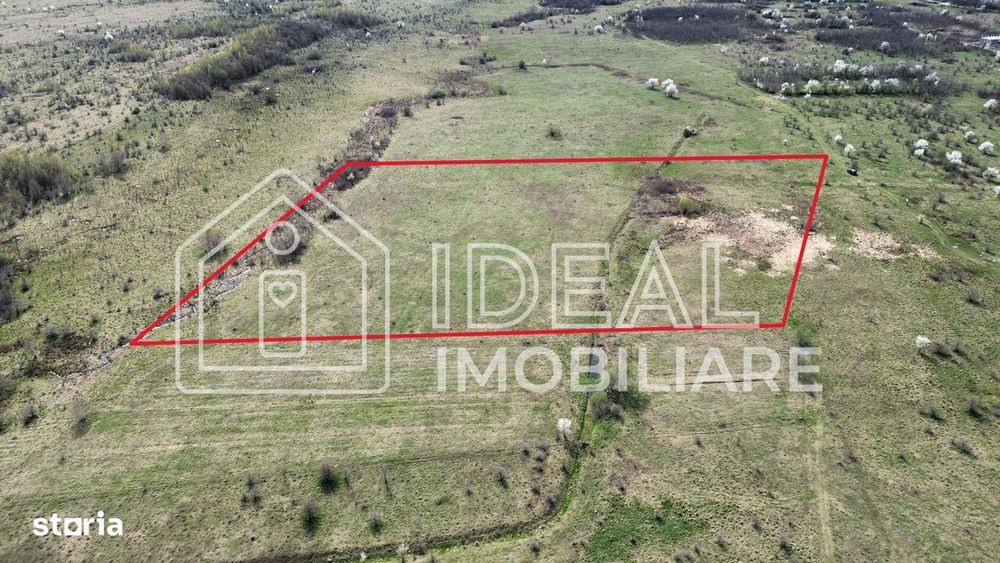 Teren 25.500 mp Valea Avrigului