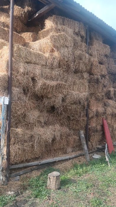 Nutreț furaje baloți
