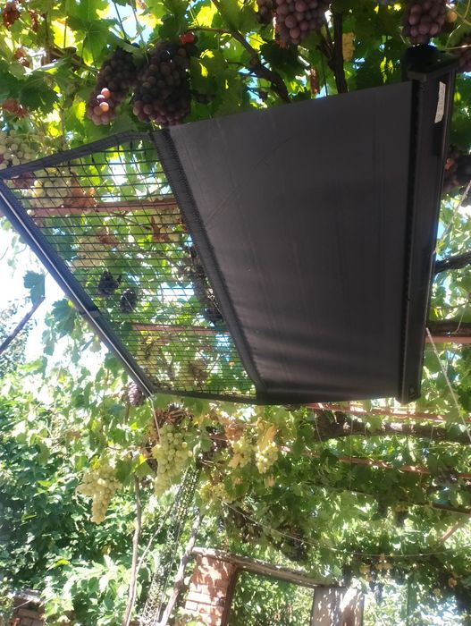 Щора за домашни любимци