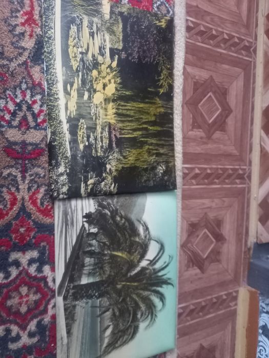 Картины 1977 года!