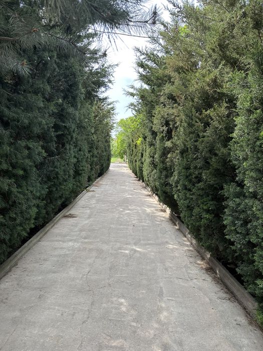 Продается дача в Юсупхоне. 20 соток