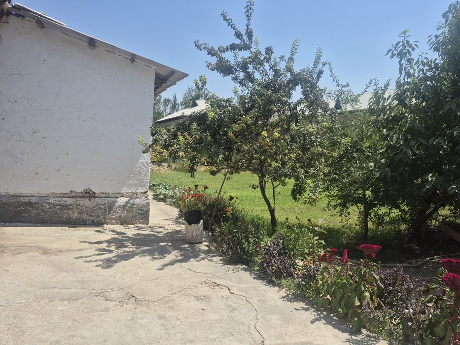 HOVLI SOTILADI
~7-8 sotix
Manzil:Shahrisabz tumani Bog'ishamol mahalla