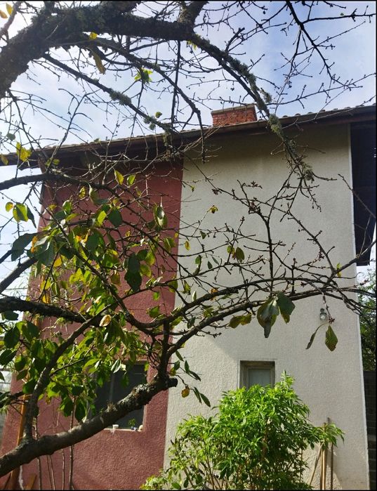 Продава се Къща в с. Лиляч, Област Кюстендил - 40 кв.м за 1275 €/кв.м - Снимка #3