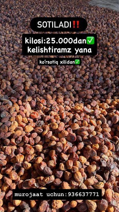 G'o'lin turshak sotiladi 1tonna bor