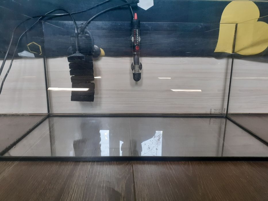 Acvariu 50 litrii+toate accesoriile necesare. Preț 300lei negociabil.