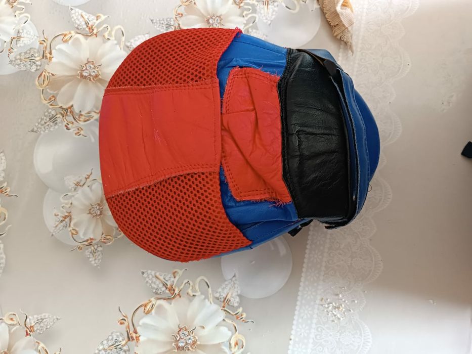 Лапа боксерские.