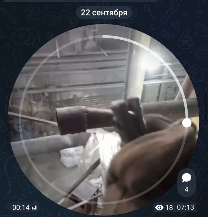 Услуги сварщика.