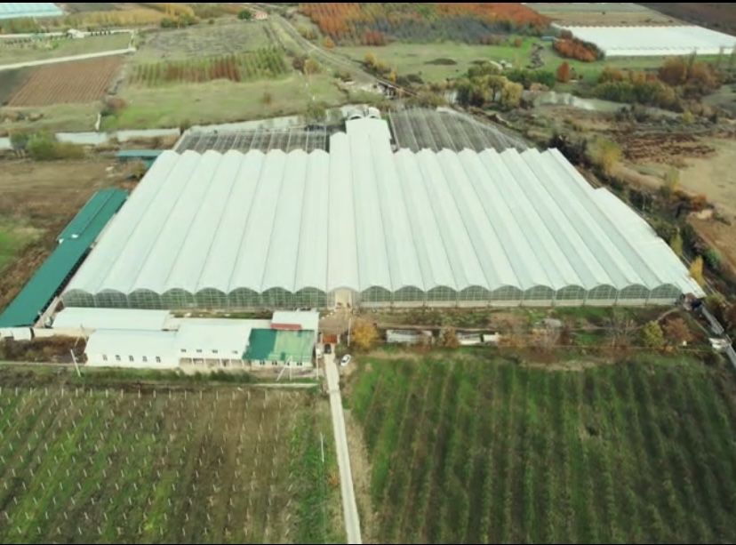 СРОЧНО Продаётся Турецкая теплица 1,5 млн у.е.
