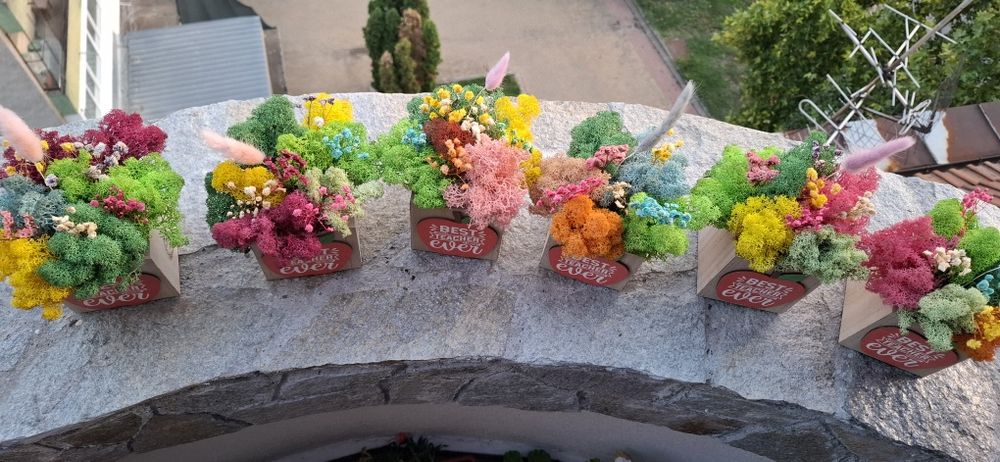 За най- добрия учител Промо цена 6.50€