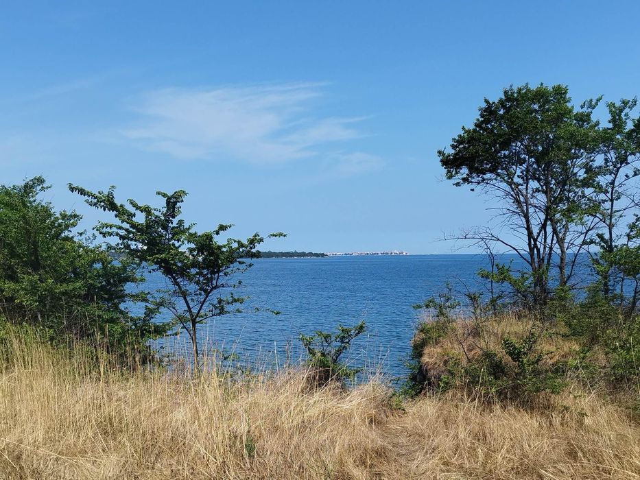 Продава се Парцел в Бургас, Център - 3102 кв.м за 75 €/кв.м - Снимка #5