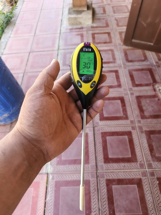 Ituin yangi sotiladi