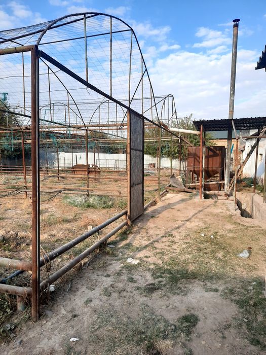 Теплица Жылыжай сатылады