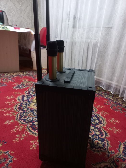 Калонка музыкальная