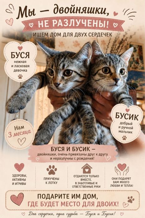 Двойняшки, неразлучники